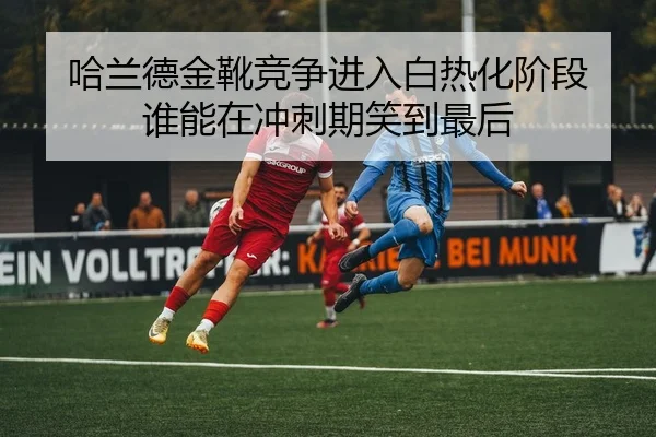 img_1780898528453_35_1_463.jpg